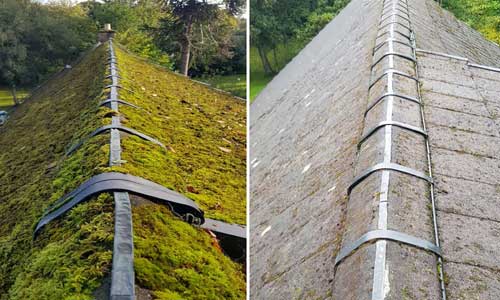 roof algae removal